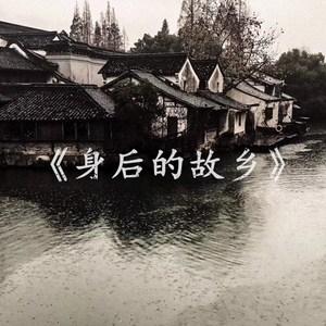 中文字幕不卡av无码专线
