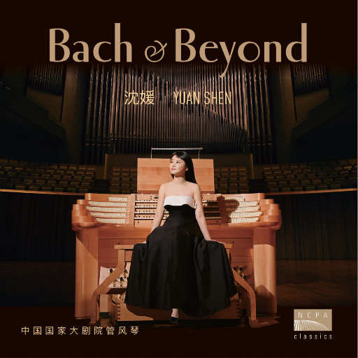 中文字幕不卡av无码专线
